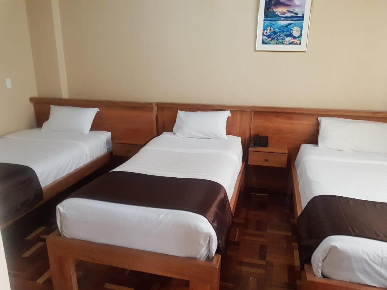 Hostal Loro Verde Quito Bagian luar foto