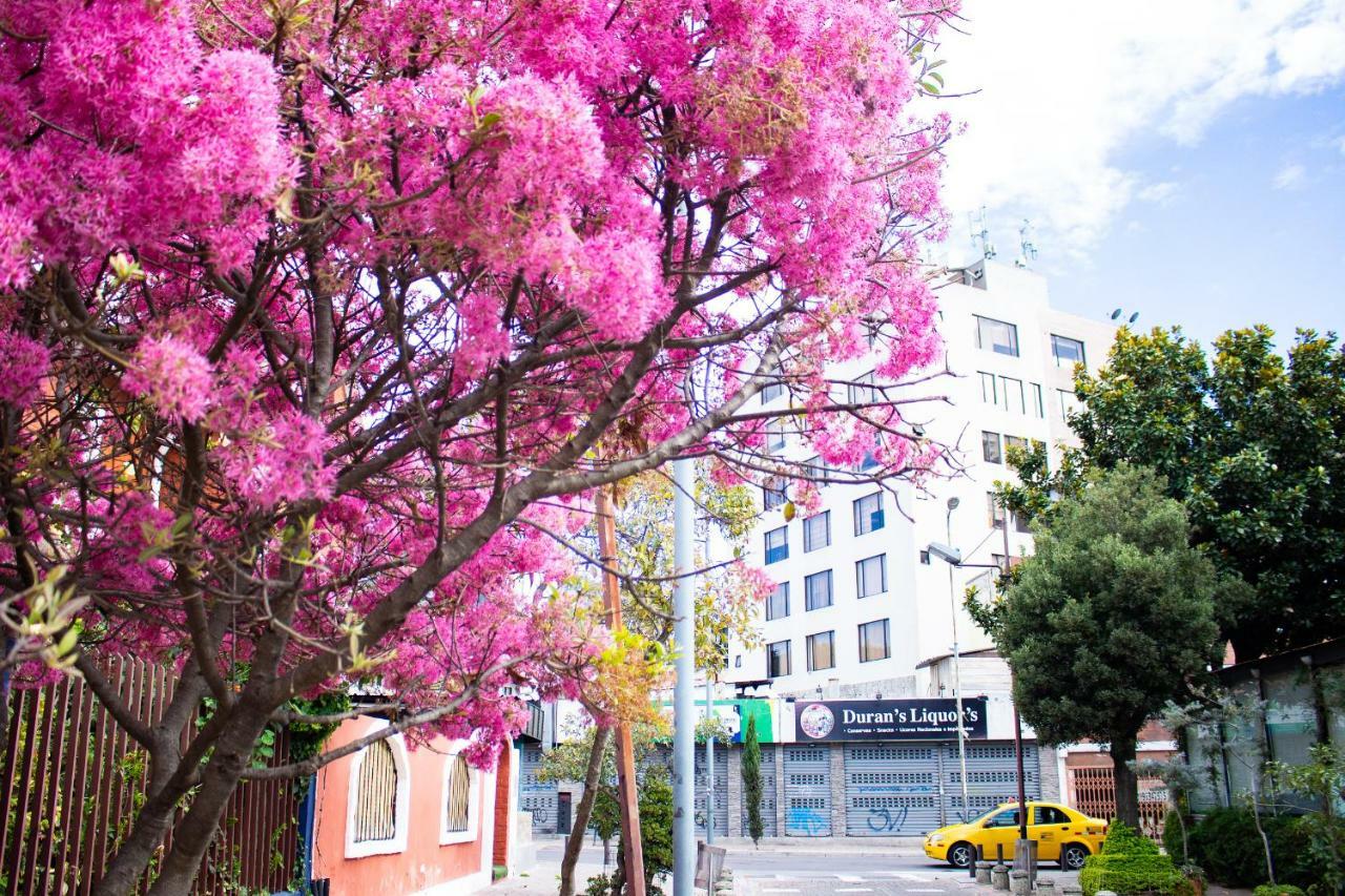 Hostal Loro Verde Quito Bagian luar foto